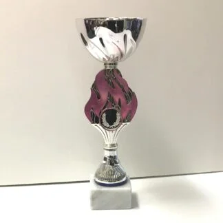 Pokal outlet 309/1 višina 22 cm