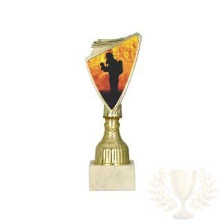 gasilski pokal