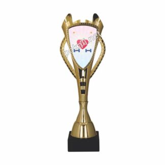 POKAL AEROBIKA – tematski pokal za aerobiko