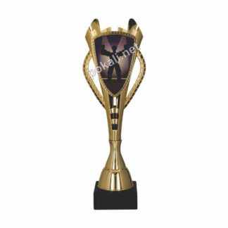 POKAL BODYBUILDING – tematski pokal za bodybuilding