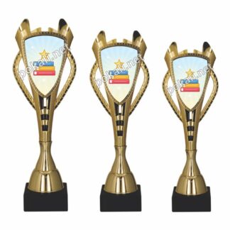 BRALNA ZNAČKA komplet 3 pokalov – tematski pokali za bralno značko