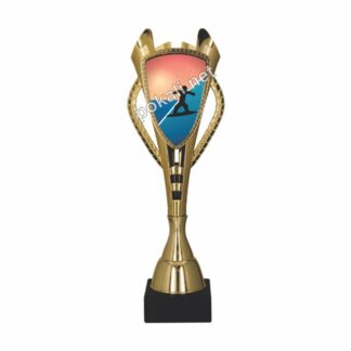 POKAL DESKANJE NA VODI – tematski pokal za deskanje na vodi