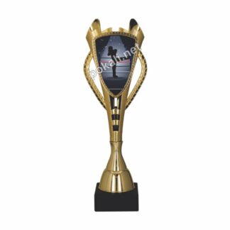 POKAL KICKBOKS – tematski pokal za kickboks