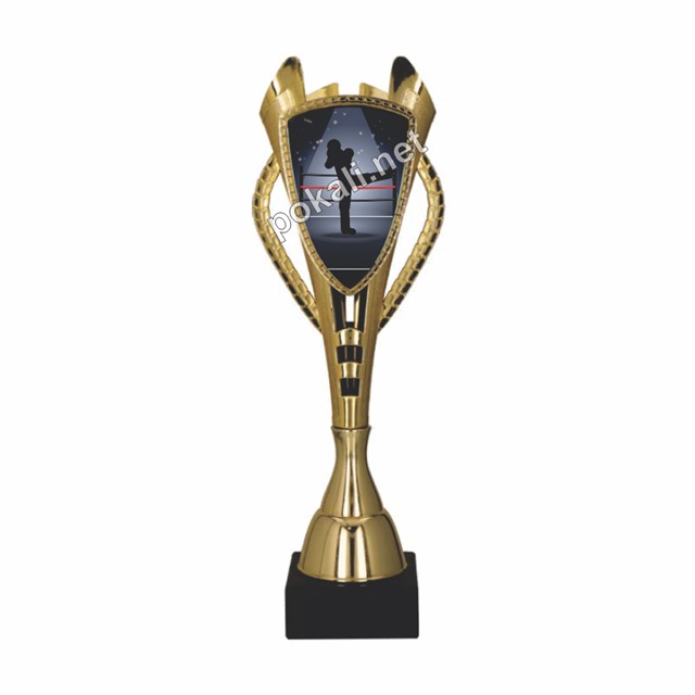 POKAL KICKBOKS – tematski pokal za kickboks