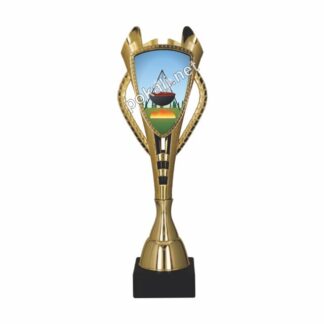 POKAL KUHANJE GOLAŽA – tematski pokal za kuhanje golaža