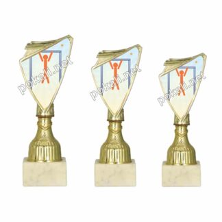 KALISTENIKA komplet 3 mini pokalov – MINI tematski pokali za kalisteniko