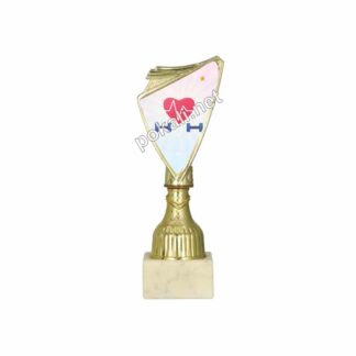 AEROBIKA mini pokal – MINI tematski pokal za aerobiko