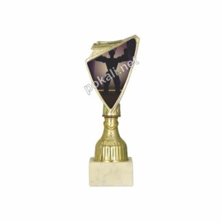 BODYBUILDING mini pokal – MINI tematski pokal za bodybuilding