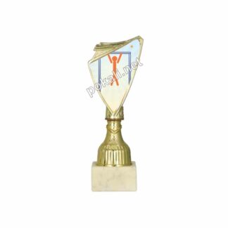 KALISTENIKA mini pokal – MINI tematski pokal za kalisteniko