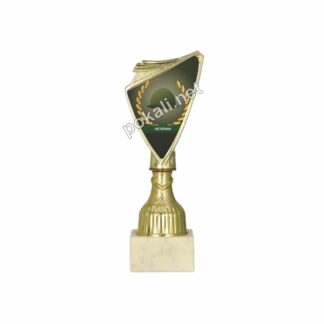 VETERANI mini pokal – MINI tematski pokal za veterani