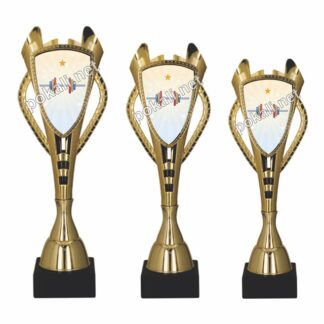 POWERLIFTING komplet 3 pokalov – tematski pokali za powerlifting