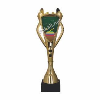 POKAL ŠOLSKO TEKMOVANJE – tematski pokal za šolsko tekmovanje