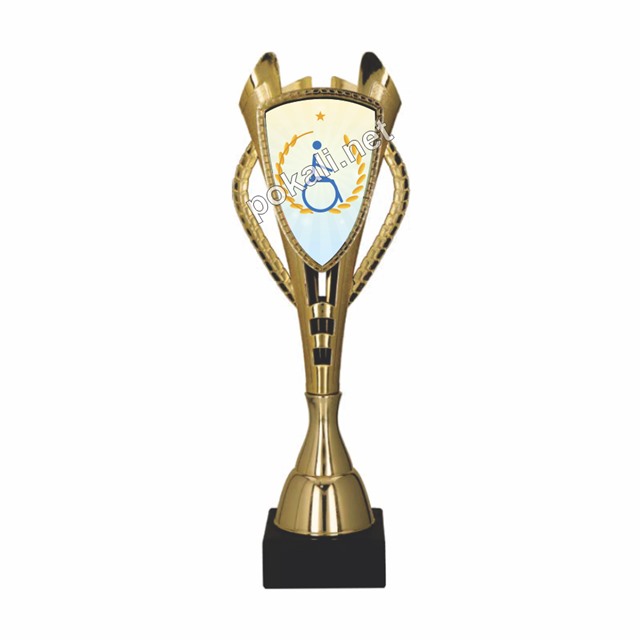 POKAL ŠPORT INVALIDOV – tematski pokal za šport invalidov