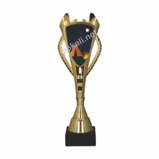POKAL TABORNIKI – tematski pokal za tabornike