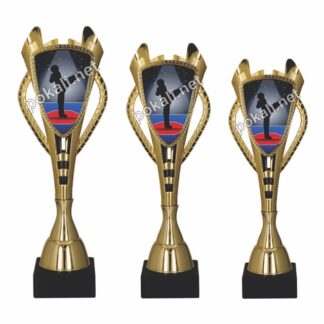 TAEKWONDO komplet 3 pokalov – tematski pokali za taekwondo