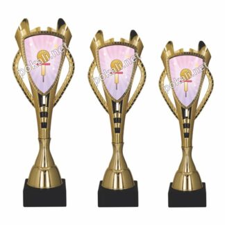 TALENT komplet 3 pokalov – tematski pokali za talent